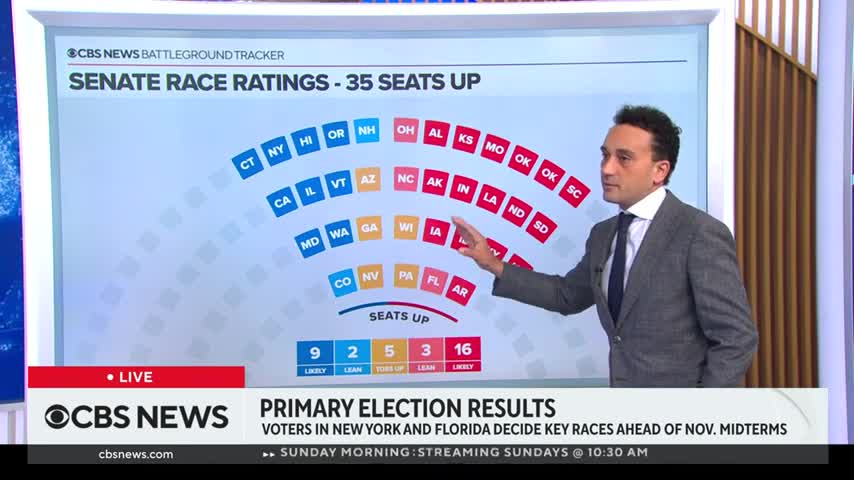 How the New York, Florida primary results could affect Democrats in 2022 midterms