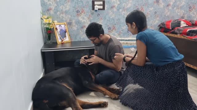 Jerry is missing bhaiya|| emotional dog video|| dog missing his owner||