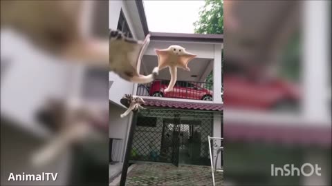 They can fly 😘
