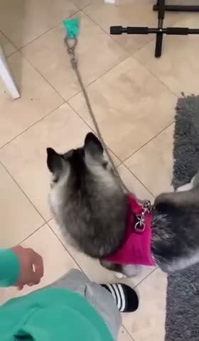 Left after telling her we’re going for a walk