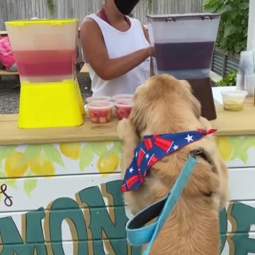 Everything is fine with lemonade and sunshine.