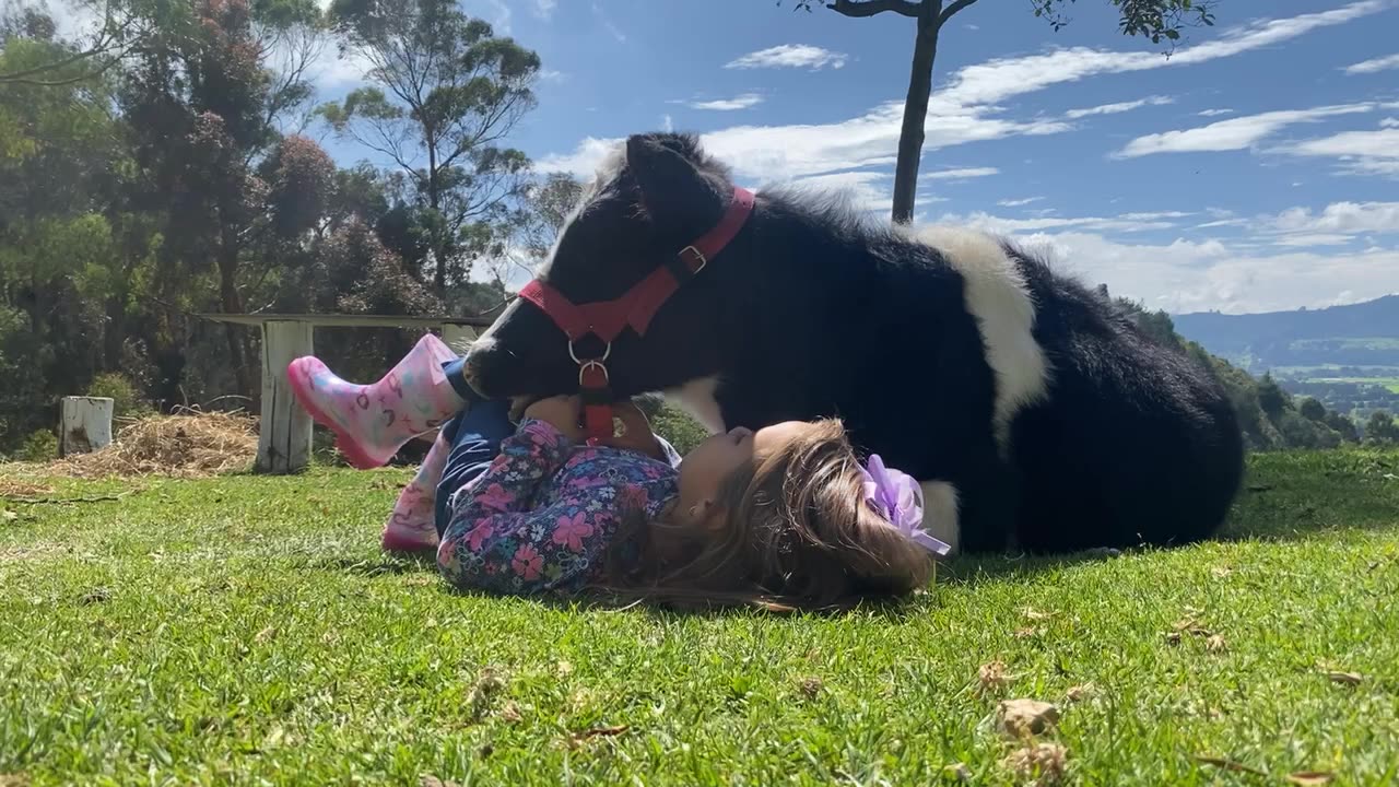 My Daughter Sings to Her Cow Friend