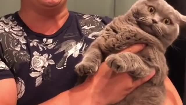 Cat Swoons for Sweet Singing