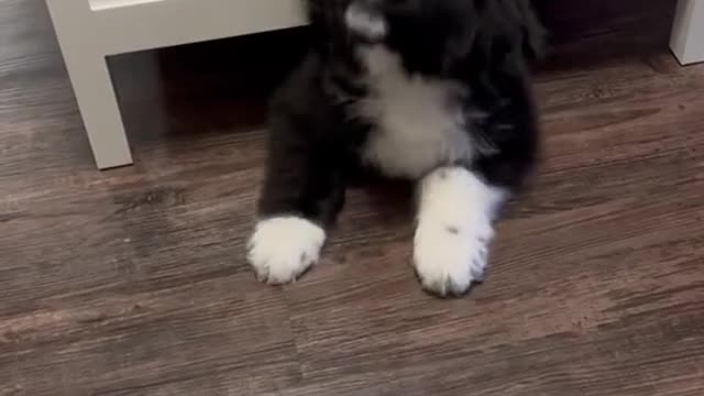 When he grow overnight & Not Fit More