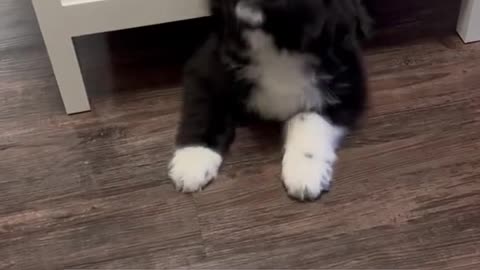 When he grow overnight & Not Fit More