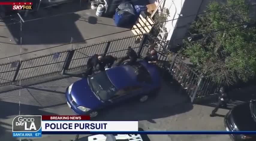 ‘Come on, Guys! He’s Right There!’ LAPD Struggles To Find A Suspect Hiding In Plain Sight