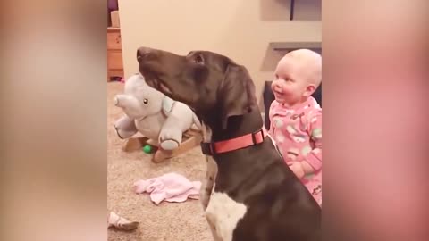 baby playing with dog