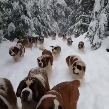 Made a Few People Had me Along the Way