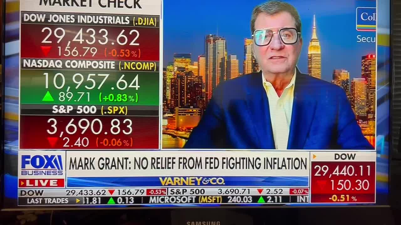 Stock Market Safe Haven