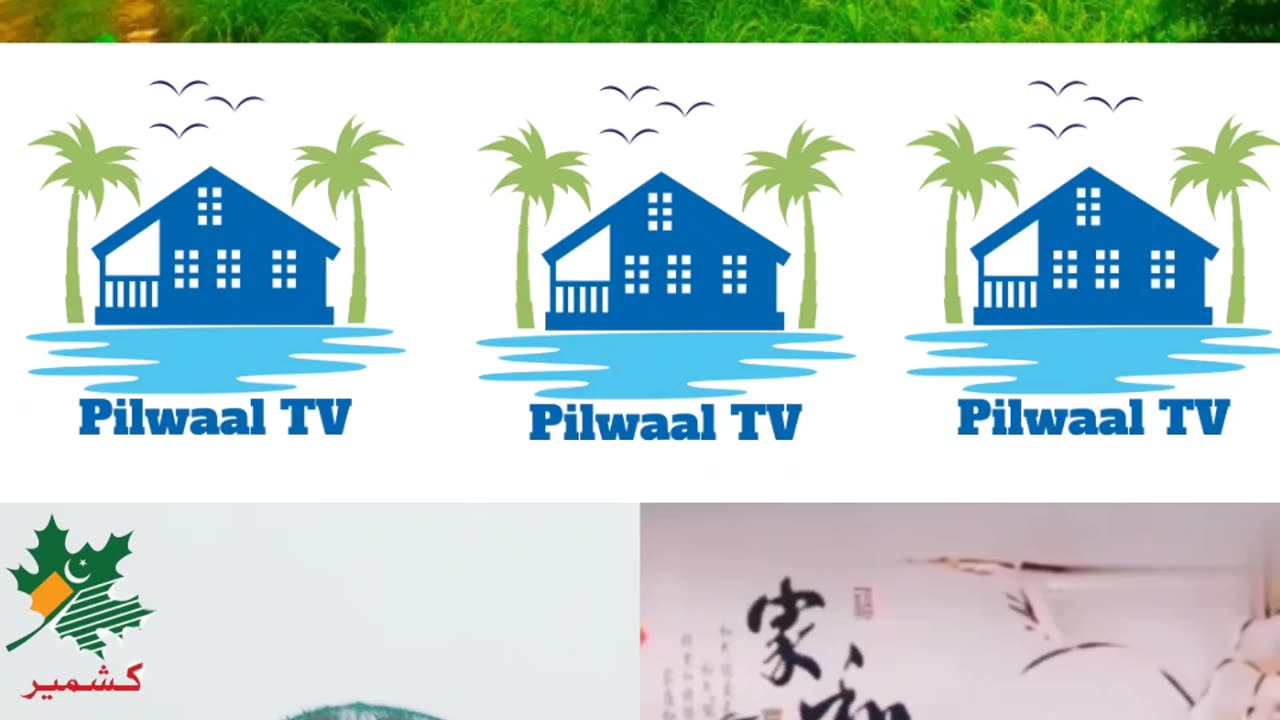 Bijli ♨♨♨ #bijli #shorts #viral #youtubeshorts #pilwaaltv