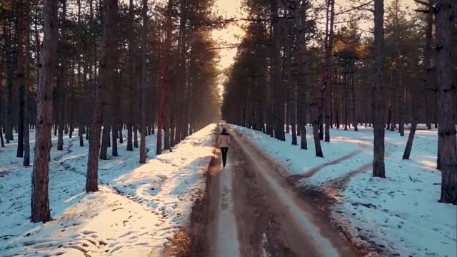 Nature's beautiful snow scene