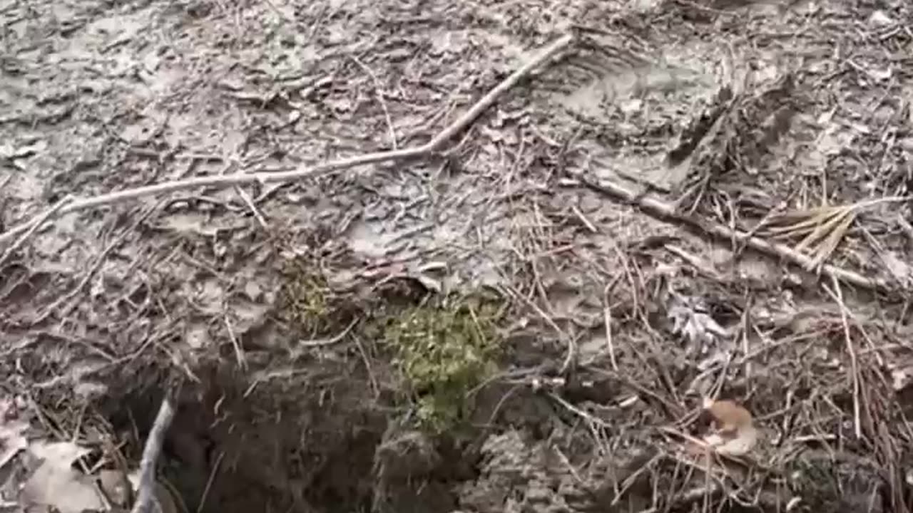 ALWAYS CHECK FIRST!