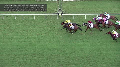 Horse_Race_2022060510_Chinese