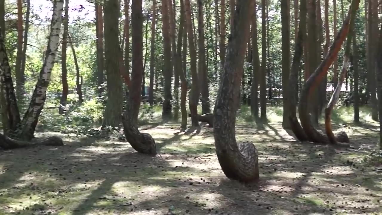 15 Unbelievable Places that Actually Exist
