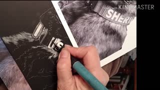 K9 Yukon, Scratchboard Drawing WIP - Vid 1