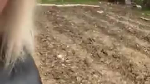 Some ASSHOLE put SALT in her garden