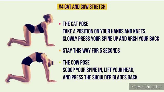 Height kese badhaye desi tips ☺🤔🤫.