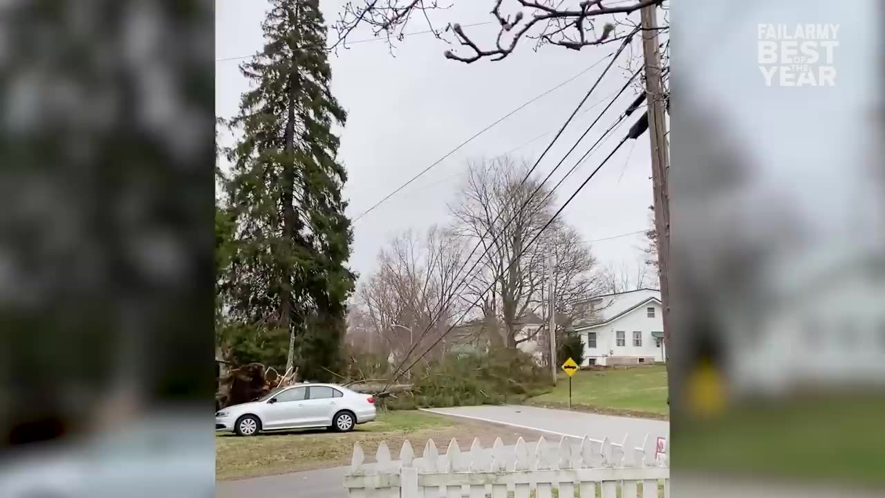 TRY NOT TO LAUGH 😁 Bring On The Funny [1 HOUR] !