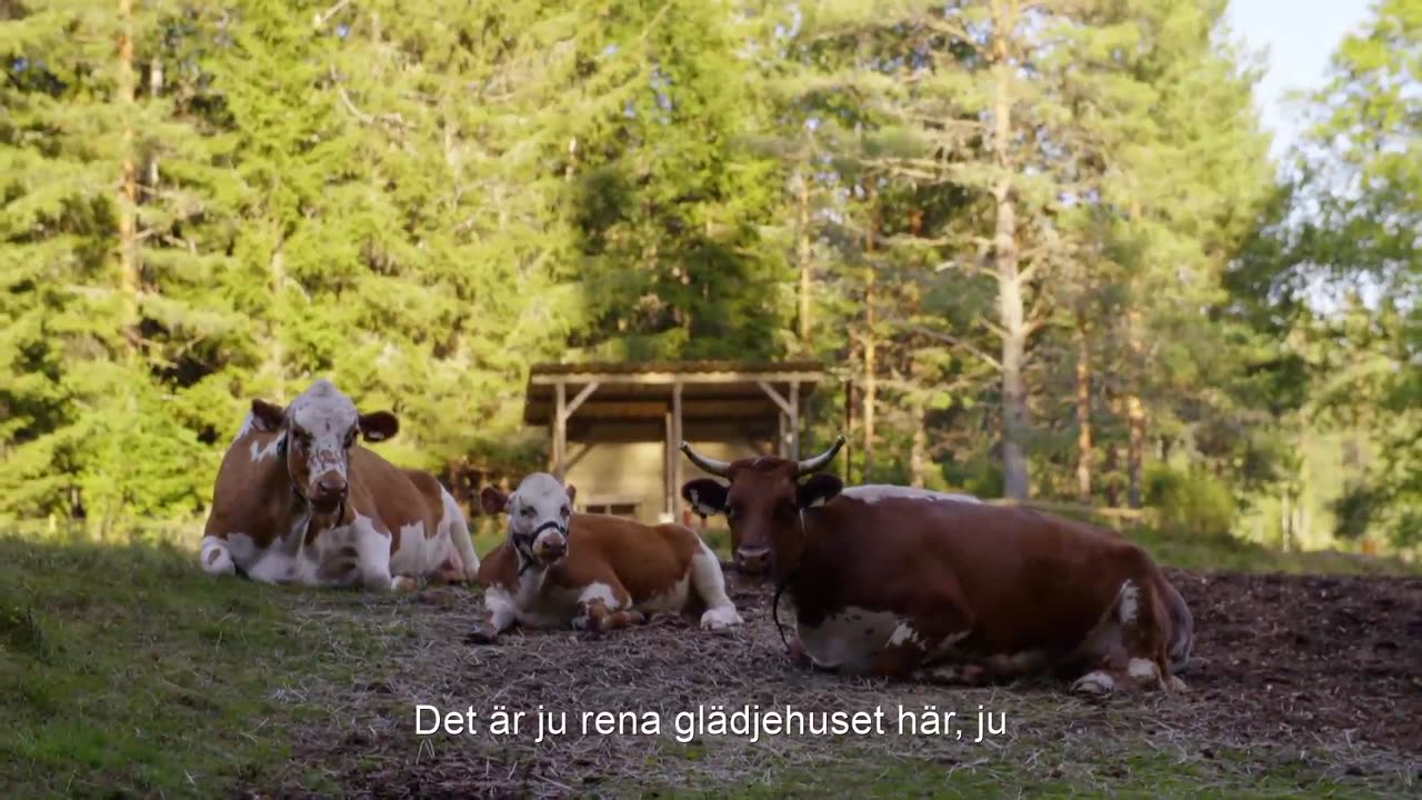 Torpet Norge S03E14