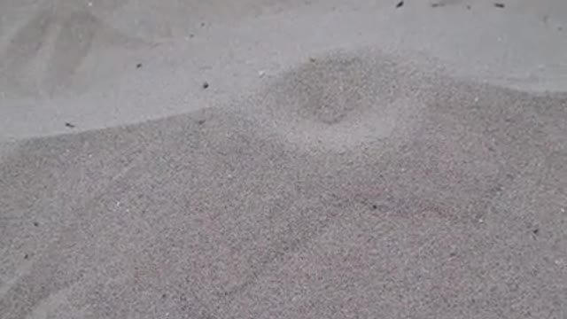 beach lifehack