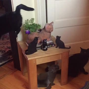 Leapfrog will jump over anything in this spot!