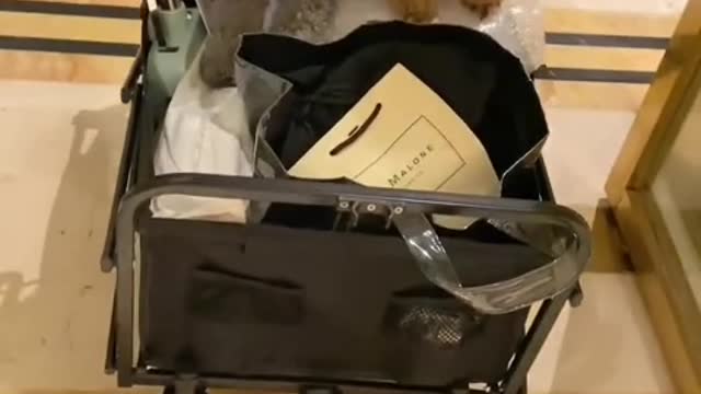 Owning a dog is the only kind of love money can buy.