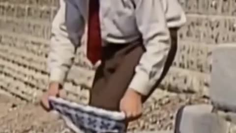 funny videos 😂😂😂