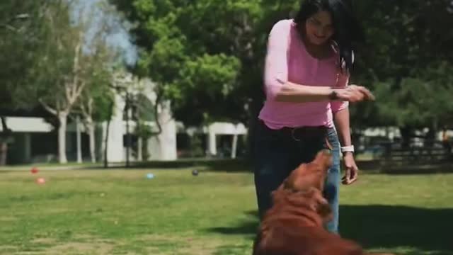 Cute dog funny dog training with hot girl sexy girl