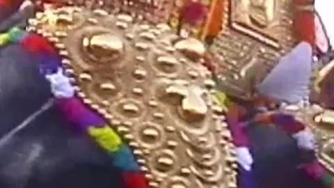 അളവ് പൂരങ്ങളിൽ സാക്ഷാൽ രാമനെ പോലും ഞട്ടിച്ചിട്ടുള്ള ഉയരക്കേമൻ.. #sree4elephants #elephants