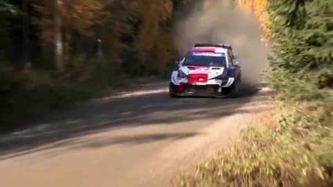 Crazy Rally
