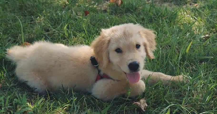 I had another leisurely afternoon with MAX and I made a little video of it