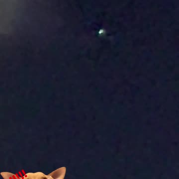 UAP over the skies of New York this 11-28-24 UFO Wave - UFOs latest news #uap #ufo #ovni