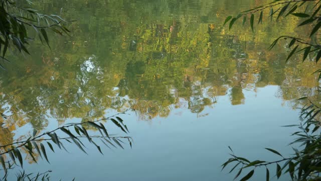 Reflection for your video editing