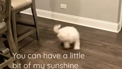 Watch this if you’re having a bad day 🥰