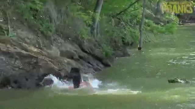 O crocodilo