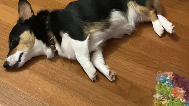 Sleepy Running