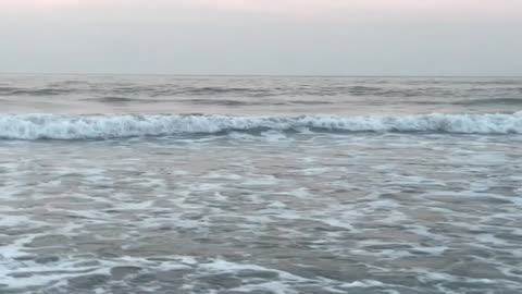 Clips of the Ocean