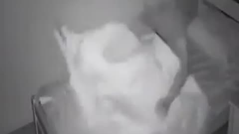 Ghosts??