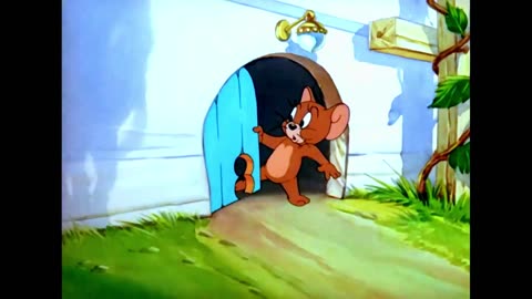 tom and jerry cartoon 1