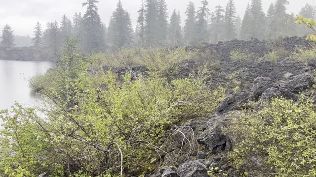 Volcanic Lake in the Pouring Rain – Clear Lake Loop – Willamette National Forest – 4K