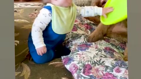 #funny dog and cute babies