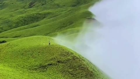 The vibrant green mountains