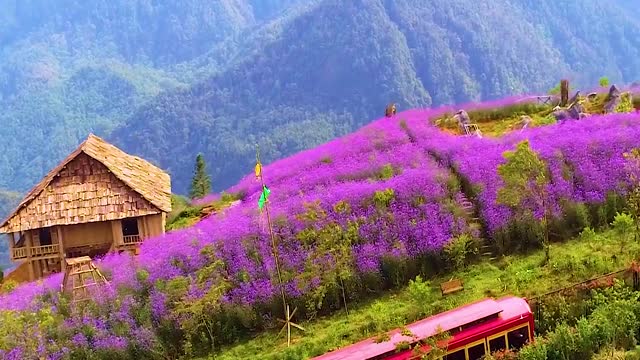 Sapa where heaven and earth meet