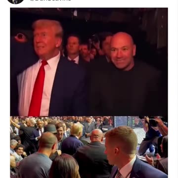 The Right Wing Avengers🦸‍♂️