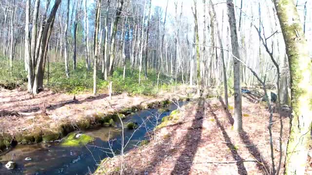 [Sandy Stream] UpNorth Just Nature