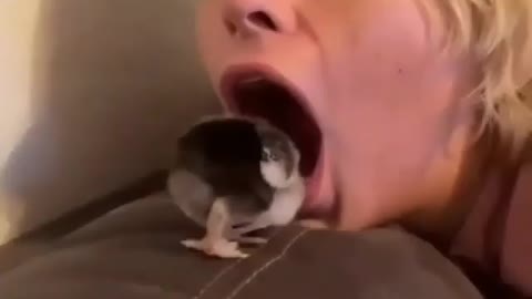 Cute and adorable animal behavior makes anyone happy to see it