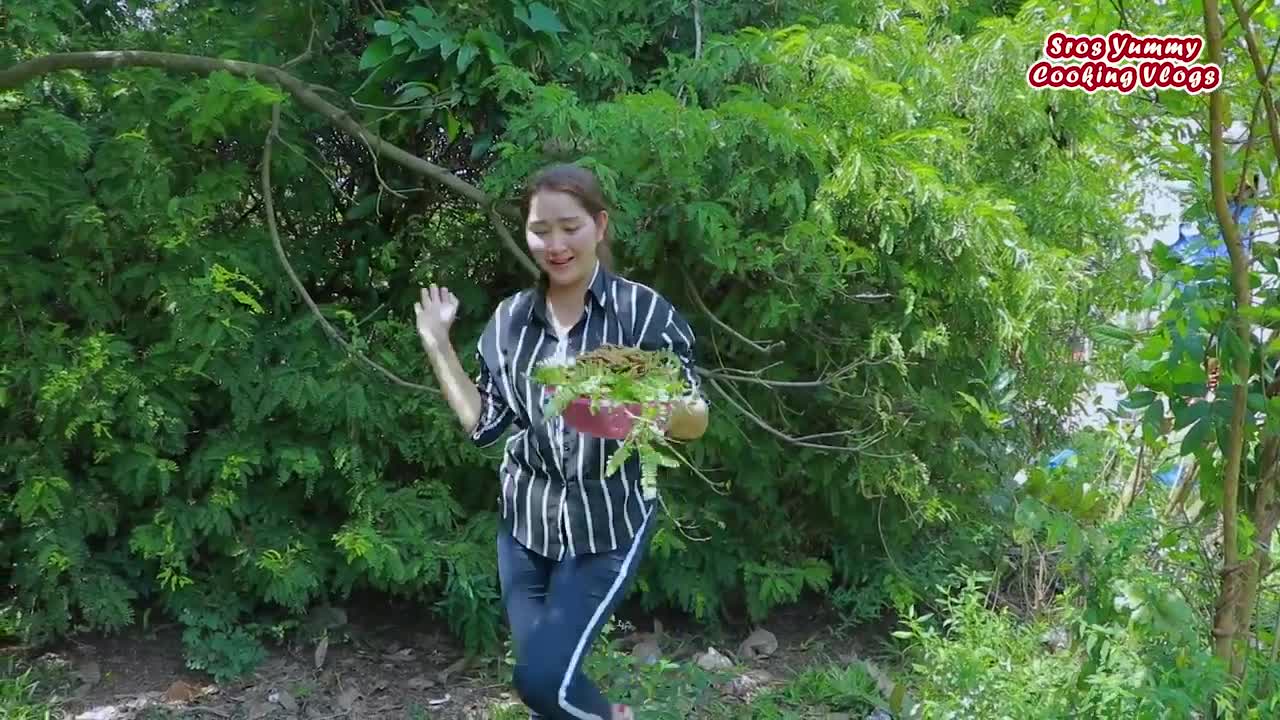 Collect some young tamarind for sour eating shrimp paste sauce _ Tamarind eating _ Sour fruit