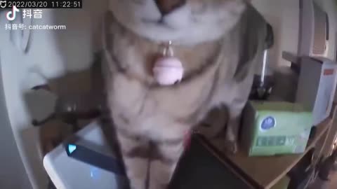 TRY NOT TO LAUGH