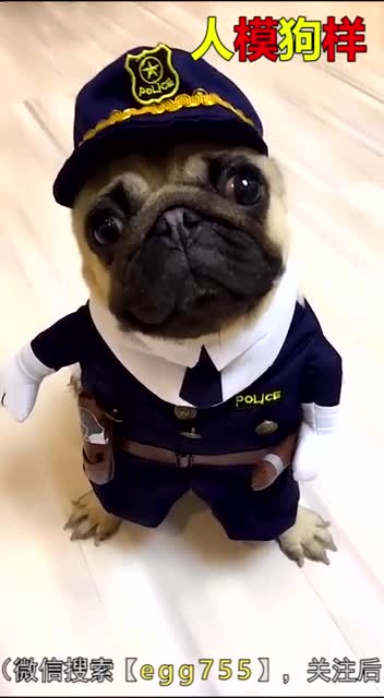 the cutest cute puppies of all time