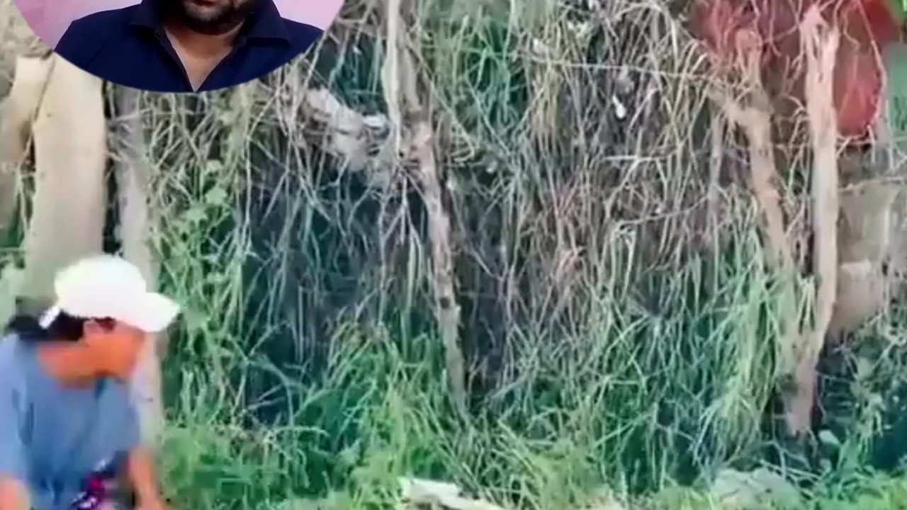 Funny video rumble